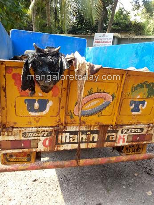 Cops thwart illegal transportation of cattle, sheep skin